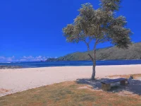 mandalika